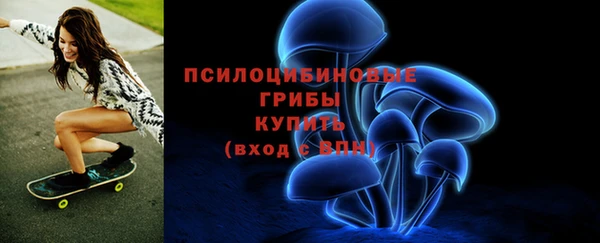 эйфоретик Ветлуга