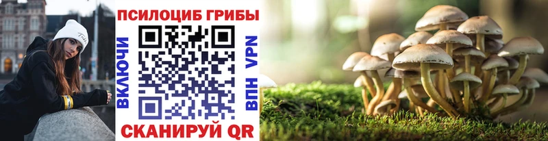 Псилоцибиновые грибы Magic Shrooms  где купить   Новоалександровск 