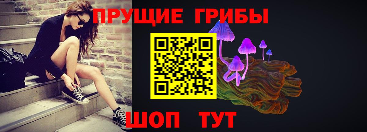 Галлюциногенные грибы мицелий Новоалександровск